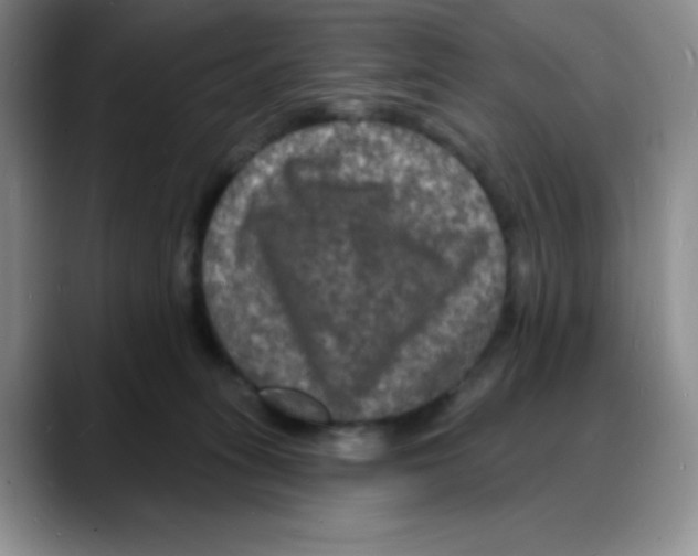 X0000088080275200706081735