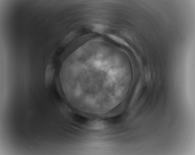 X0000088080276200706081735