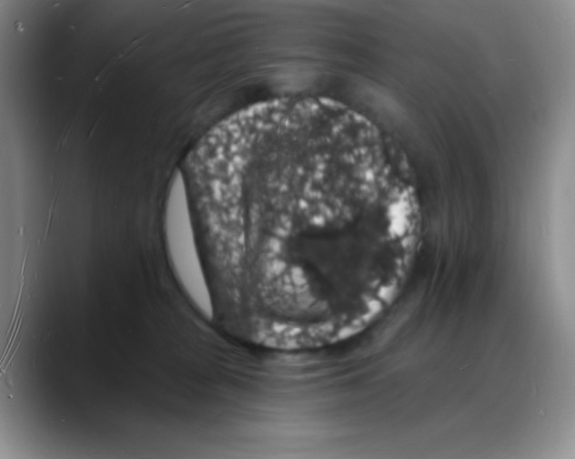 X0000088080277200706081735