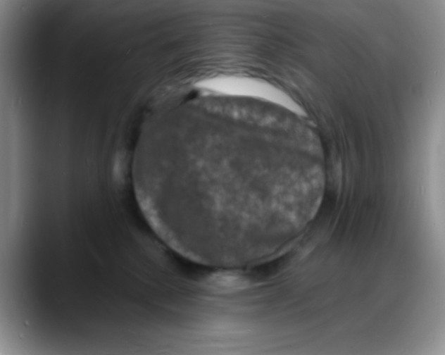 X0000088080280200706081736