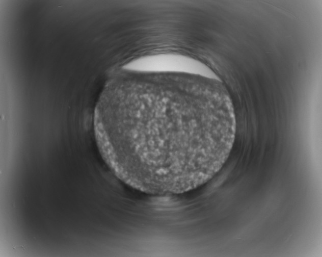 X0000088080281200706081736