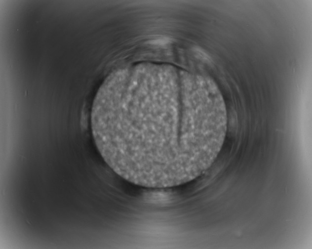 X0000088080282200706081736