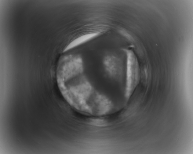 X0000088080284200706081736