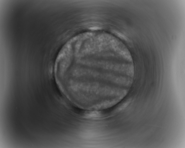 X0000088080288200706081736