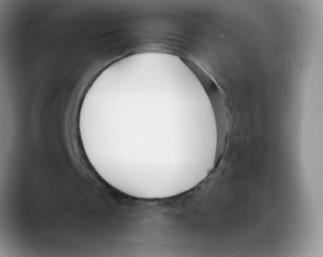 X0000088080289200706081735