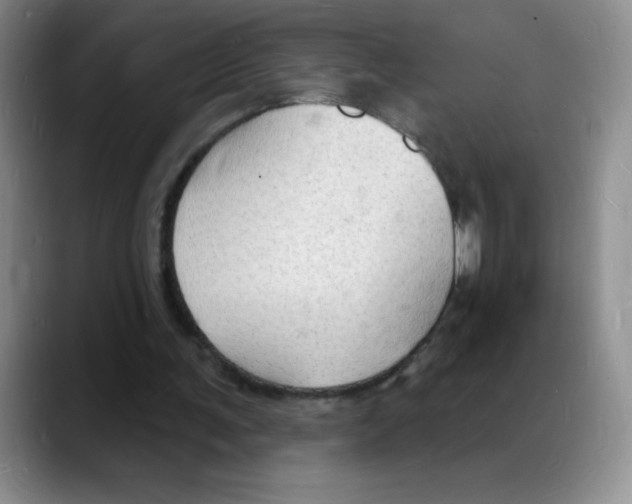 X0000088080291200706081735
