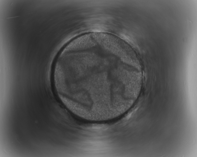 X0000088080292200706081735