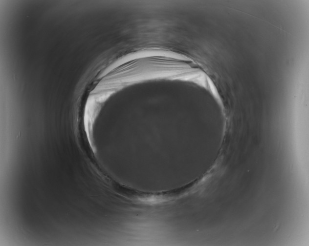 X0000088080293200706081735