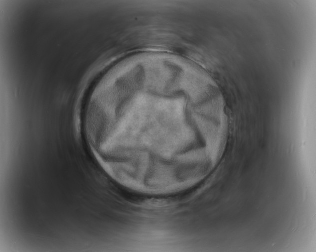 X0000088080294200706081735