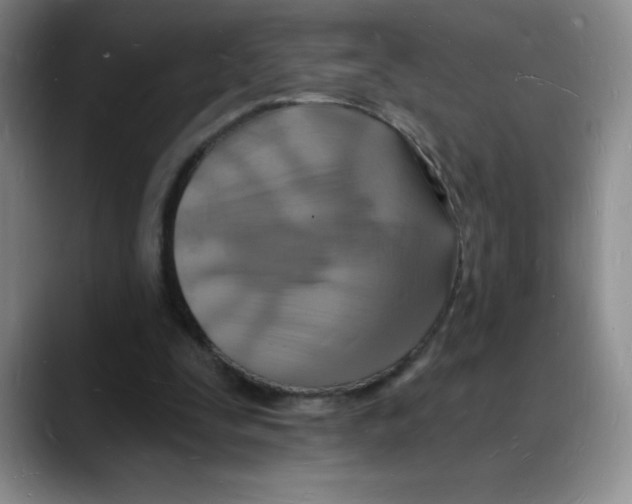 X0000088080295200706081735