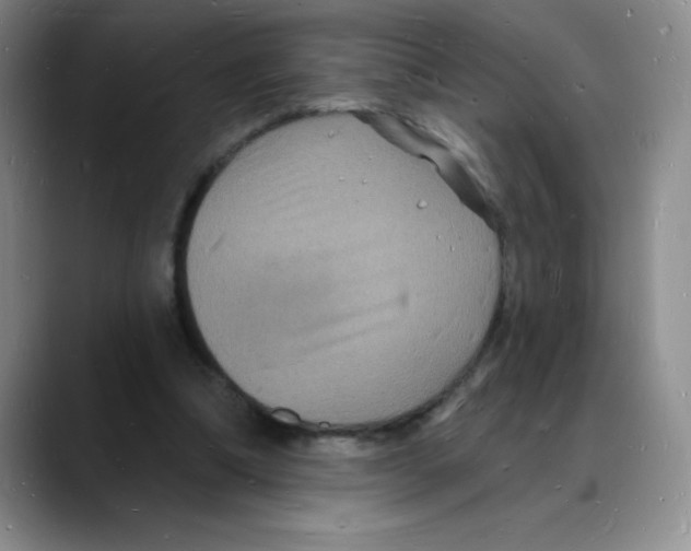 X0000088080298200706081735