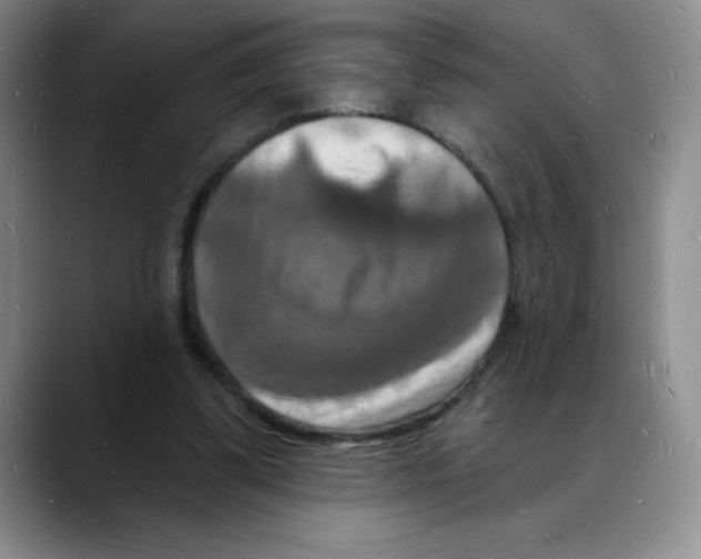 X0000088080299200706081735
