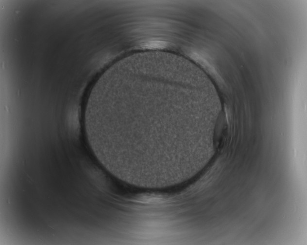 X0000088080300200706081735