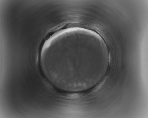 X0000088080301200706081735