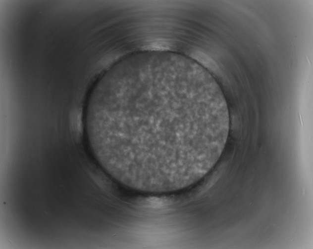 X0000088080302200706081735