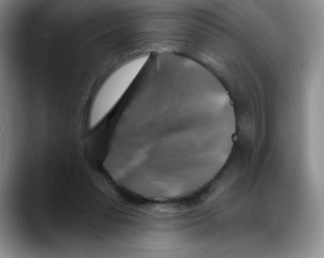 X0000088080303200706081735