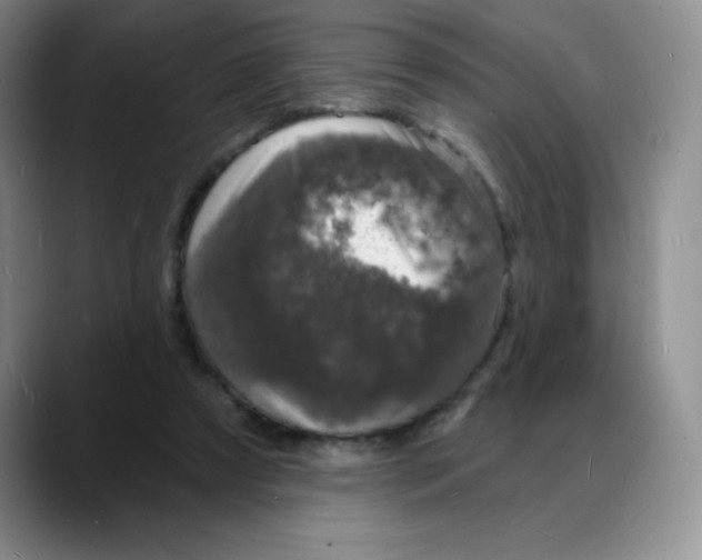 X0000088080305200706081735