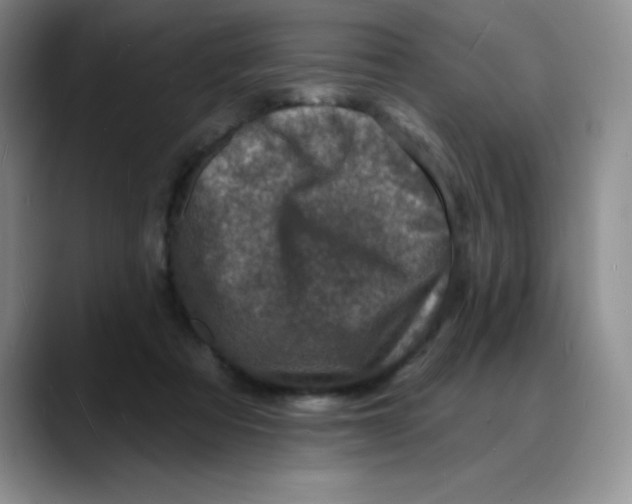 X0000088080313200706081735