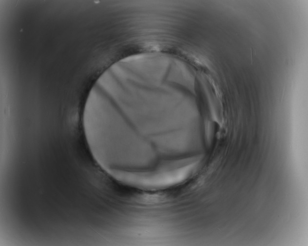 X0000088080314200706081735