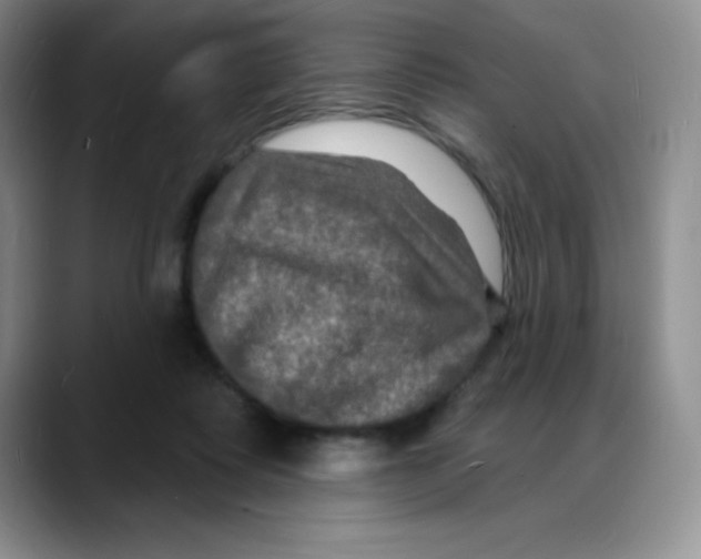 X0000088080315200706081735