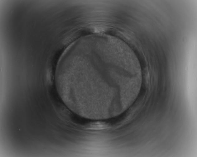 X0000088080316200706081735