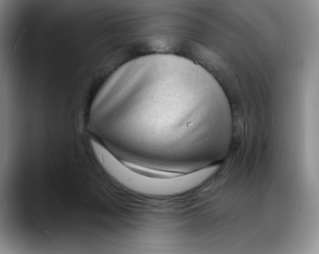 X0000088080317200706081735