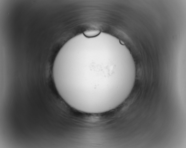 X0000088080318200706081735