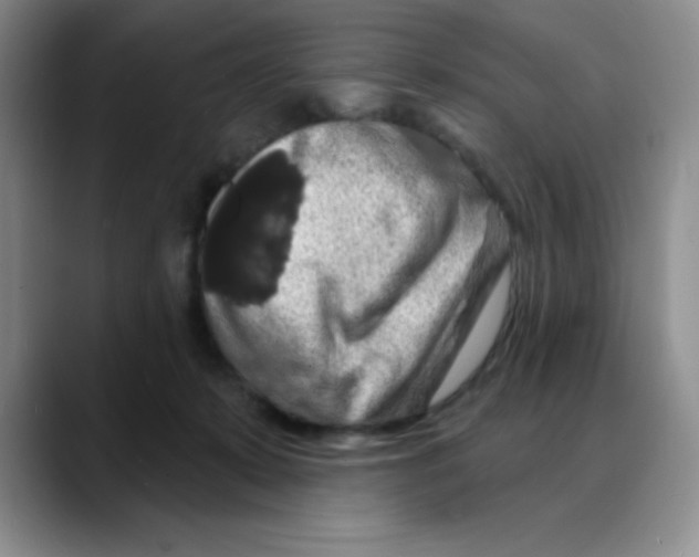 X0000088080319200706081735