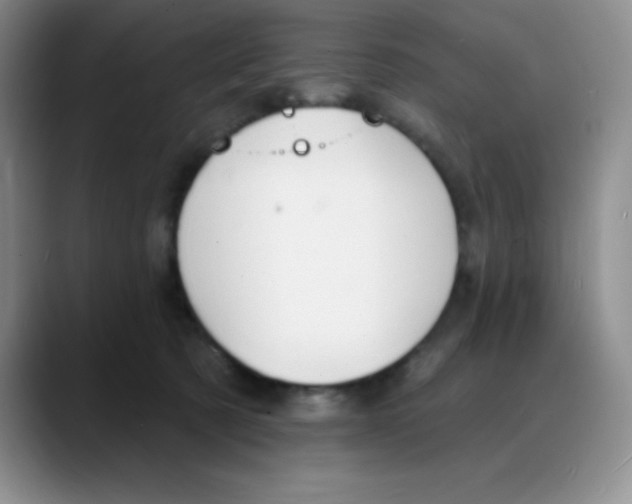 X0000088080321200706081735