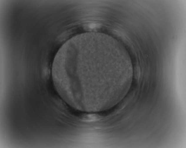 X0000088080324200706081735