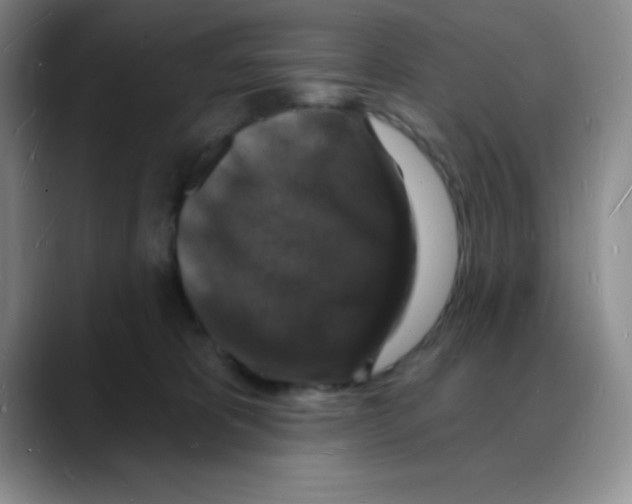 X0000088080325200706081735