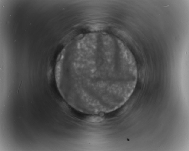 X0000088080327200706081735