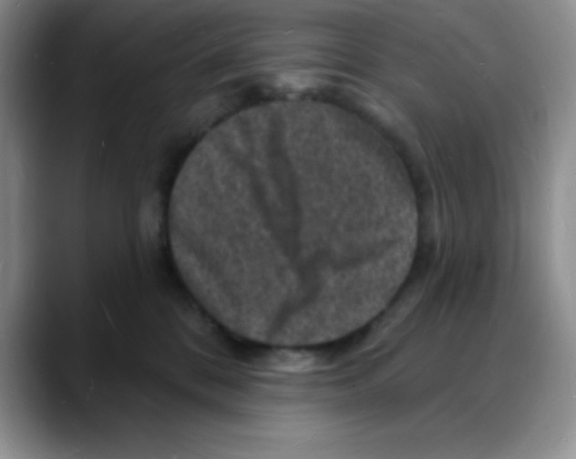 X0000088080328200706081735