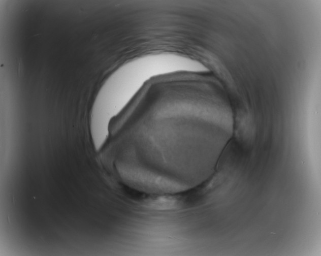 X0000088080329200706081734