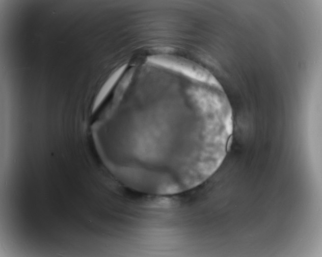 X0000088080330200706081734