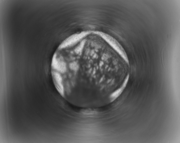 X0000088080331200706081734