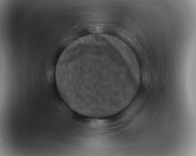 X0000088080332200706081734