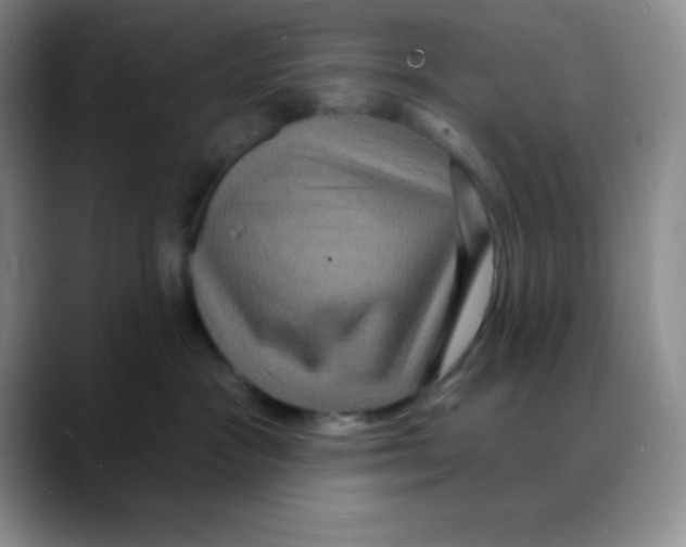 X0000088080333200706081734