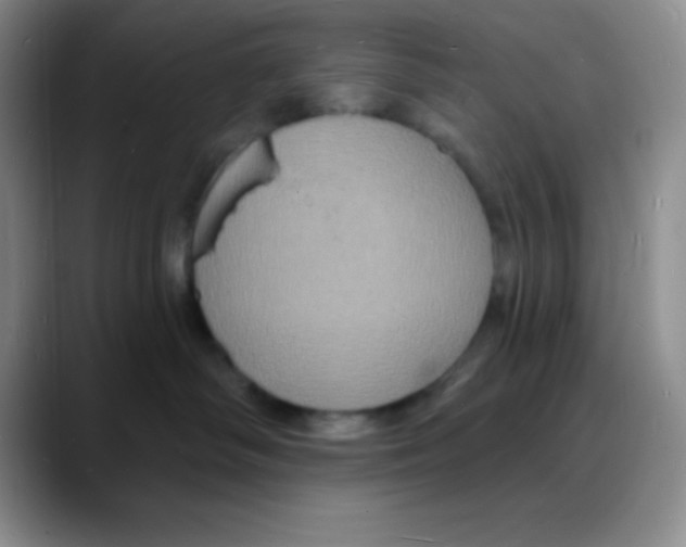 X0000088080334200706081734