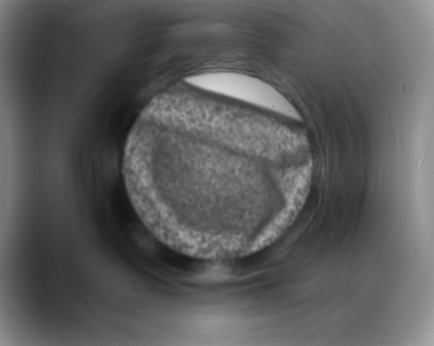 X0000088080335200706081734