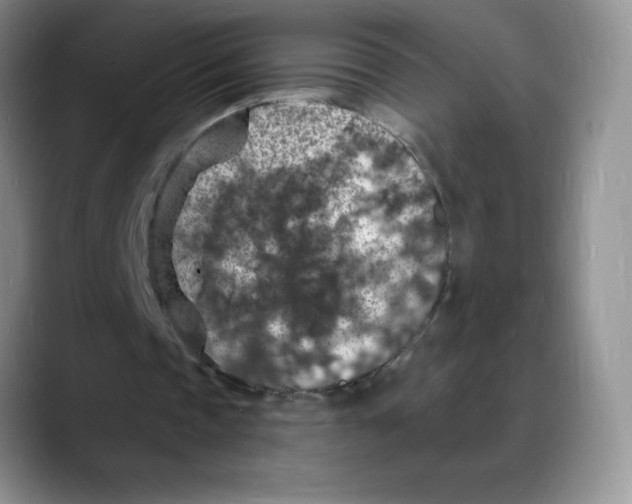 X0000088080337200706081734