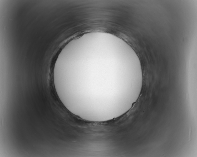 X0000088080338200706081734