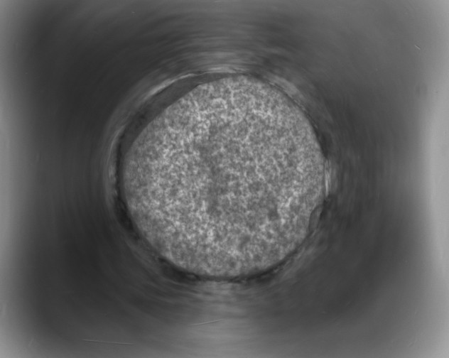 X0000088080339200706081734
