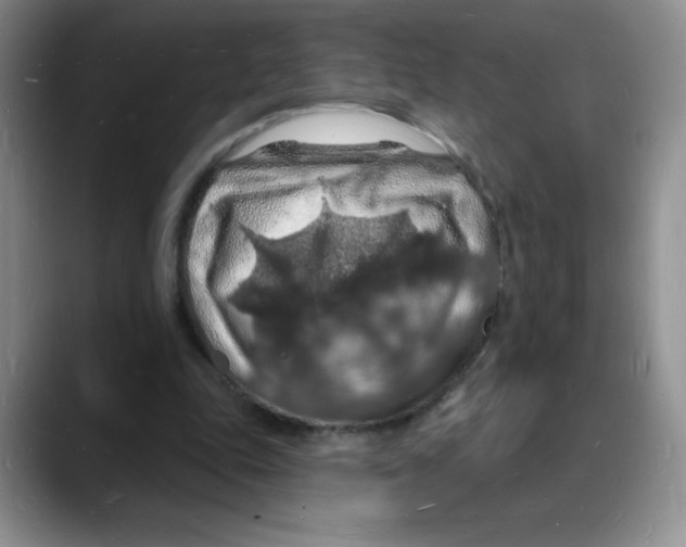 X0000088080343200706081734