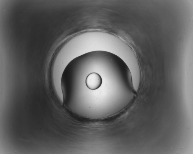 X0000088080344200706081734
