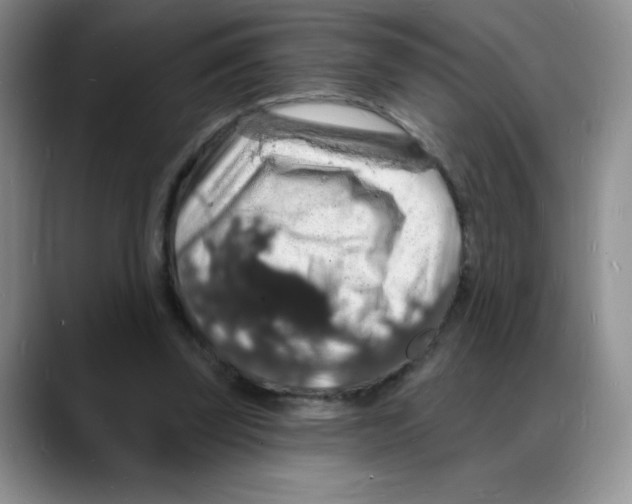 X0000088080347200706081734