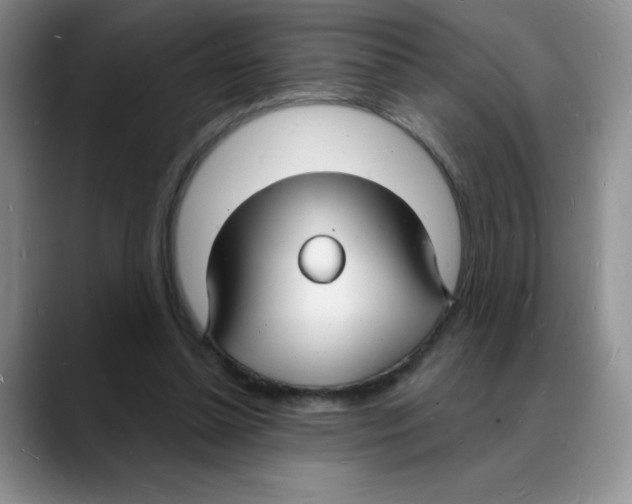 X0000088080348200706081734