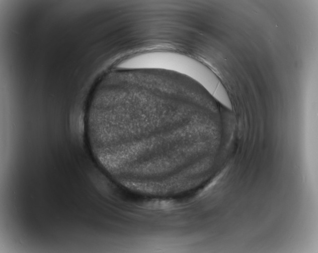X0000088080350200706081734