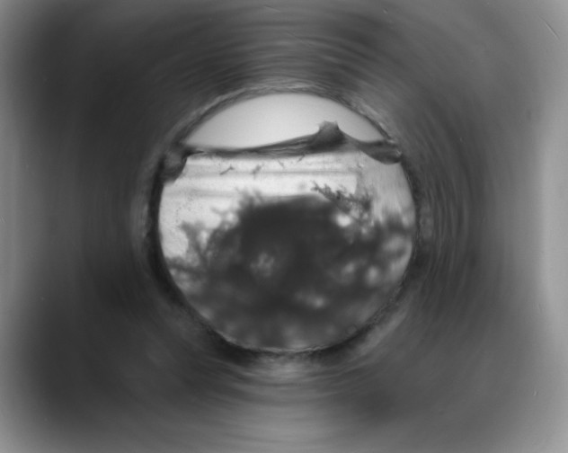 X0000088080351200706081734