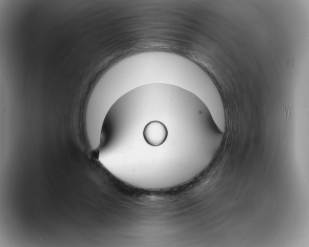X0000088080352200706081734